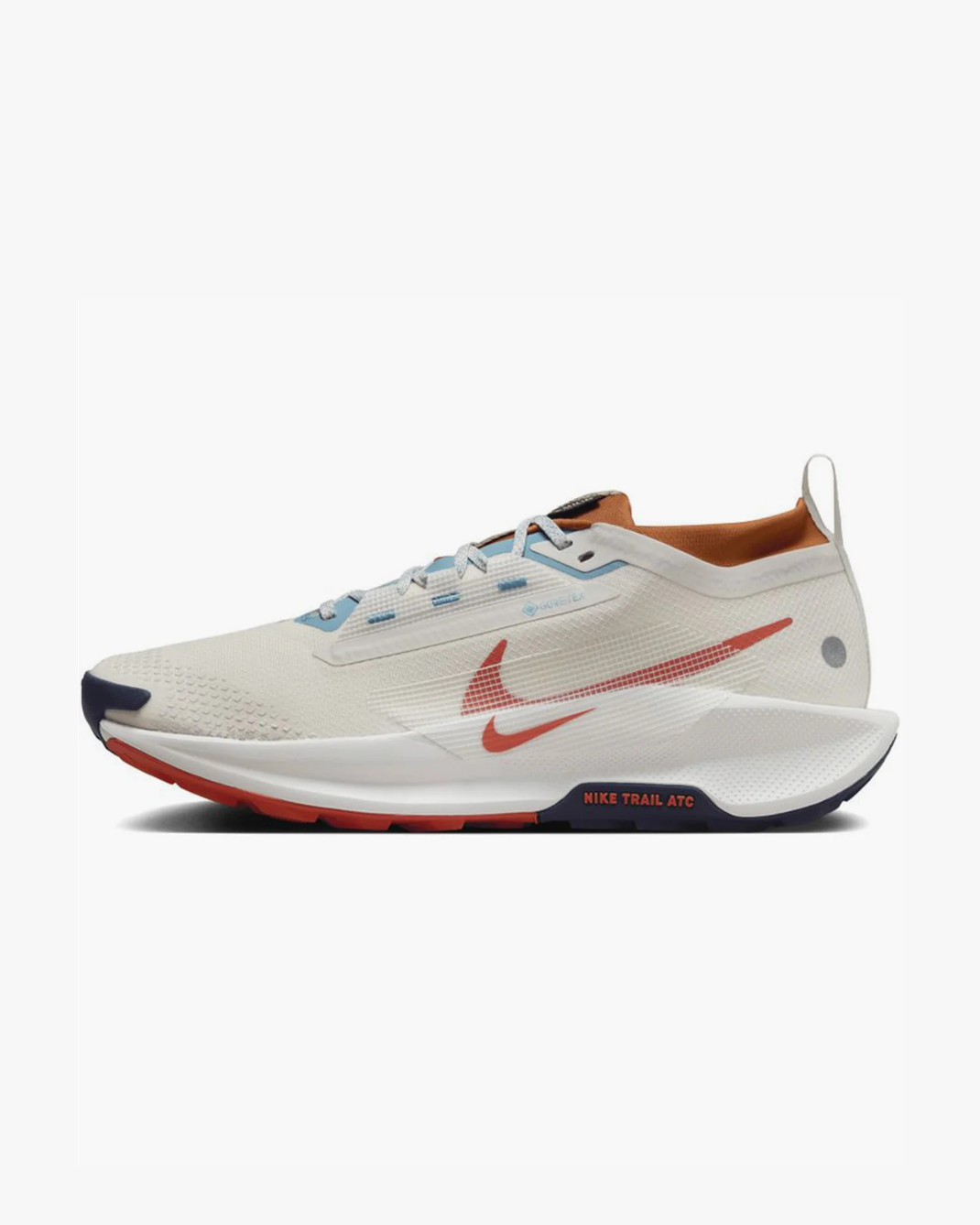 Nike Pegasus Trail 5 Gore Tex
